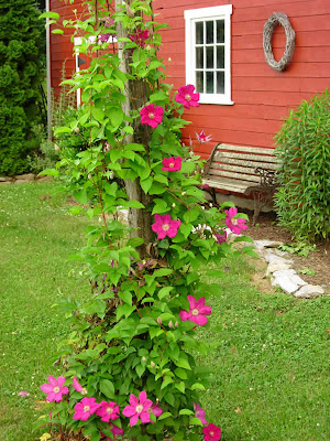 flowers-vine-lg.jpg
