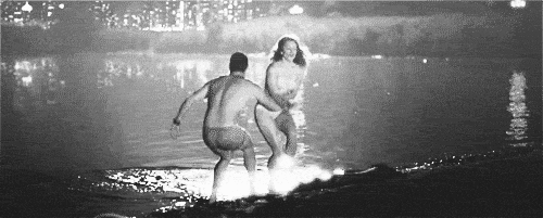 164462_o0445.gif