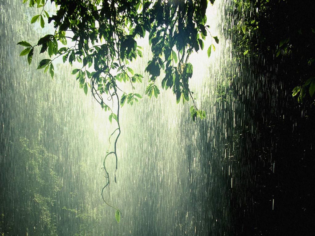 rain_photos_03.jpg