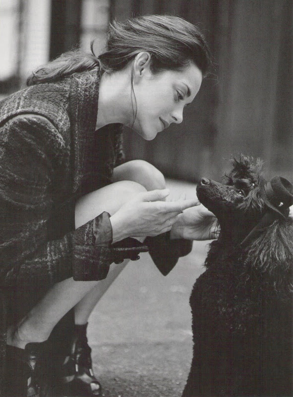 marion-cotillard_382648.jpg