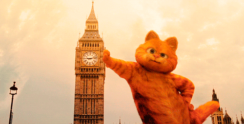 tumblr_lqqqqw2wIX1qgob8xo1_500.gif