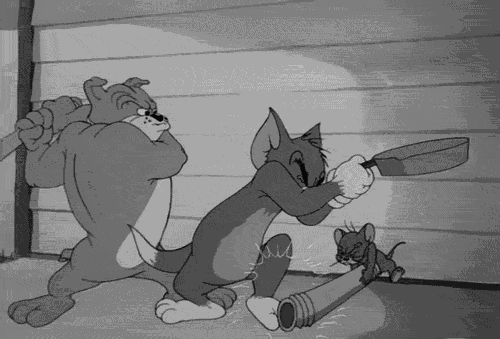 tumblr_lyfl72VJX51r51c57o1_500.gif