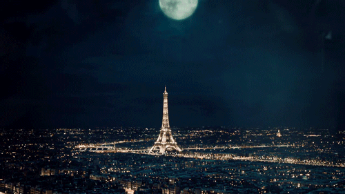 tumblr_mgyj20Hksc1rs0sedo1_500.gif