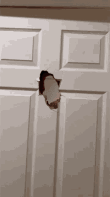 elmo-door.gif
