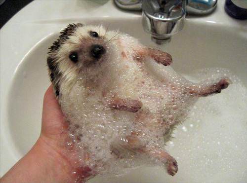 banyo_vakti__c349a_d.jpg