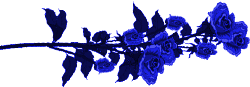 pr1lmdy80ud.gif