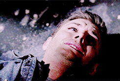tumblr_msfud73c9T1rvs77ao3_250.gif