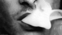 tumblr_m0ydg6oLcJ1qh0t9ho2_250.gif