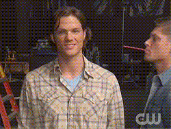 tumblr_m8gh3wxiWD1qm8pw0.gif