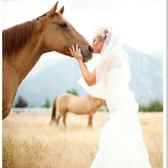 pets-in-wedding.jpg