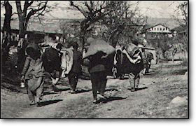 1920.jpg