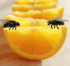 64561991_1285594245_post693591271538763.gif