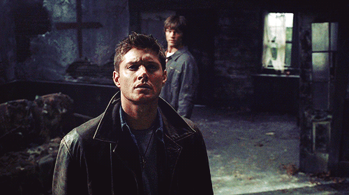 tumblr_m79s6kGhSB1qdj3cfo1_500.gif