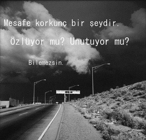 tumblr_mfpfzt8abu1rk9hmwo1_500.jpg
