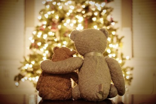 54713-Very-Beary-Christmas.jpg