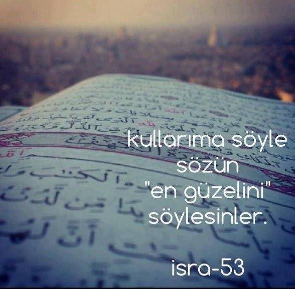 tumblr_mspc8aEyS81sq81mwo1_1280.jpg