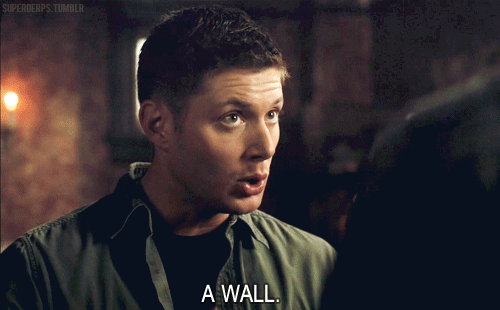 tumblr_lwwwrlcCno1r3s1x8o1_500.gif