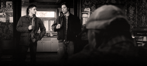 tumblr_ljq89vqxL51qzel54o1_500.gif