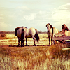 stock1008_by_kisuncha.png