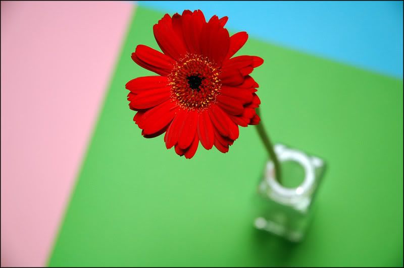 colorsbyschumixuj0.jpg