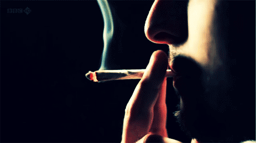 tumblr_m5a5zzpTbZ1r9v3eso1_500.gif