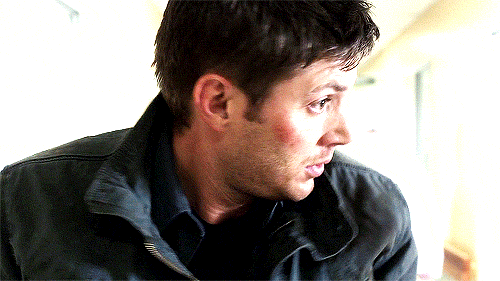 tumblr_n3jkdwKcfd1ro95bto4_r1_500.gif