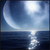 z11324984.gif