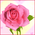 1036-028-09-1042.gif