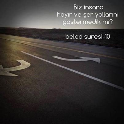 tumblr_nb25shhL0x1s3zhk6o1_500.jpg