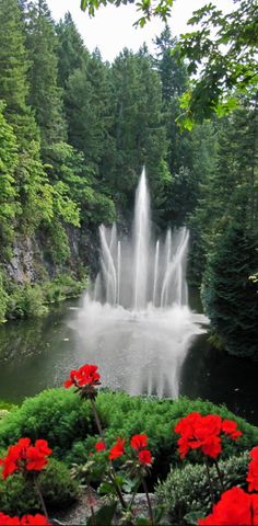 02c4b686ac051b41f557f849acaf65dd.jpg