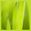 z30586653.gif