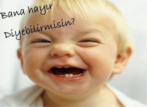 gulenn3026_432414.jpg