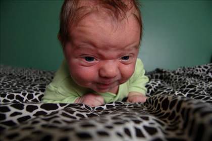 babies_that_are_pissed_02_d.jpg