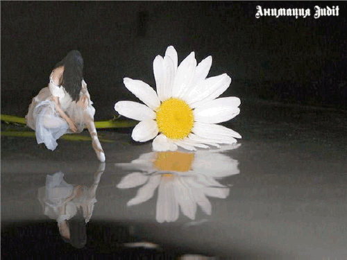 1378050_26452.gif