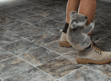 tumblr_mqpw7bfyaR1scfh56o1_400.gif