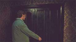 tumblr_m288b2xEeb1r3gs42o4_r1_250.gif