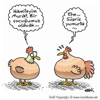 tavuk+karikatur.jpg