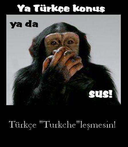 Turkce____Turkche_by_osurukchichei.jpg