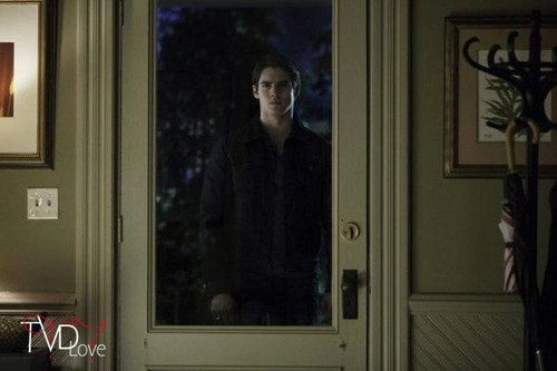 The-Vampire-Diaries-4x12-A-Veiw-to-A-Kill-Promotional-Still-the-vampire-diaries-tv-show-33410316-500-333.jpg
