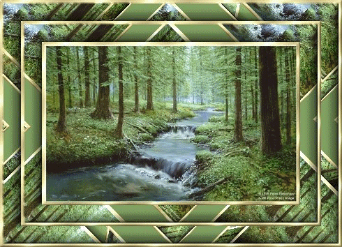 4969563_foreststream.gif