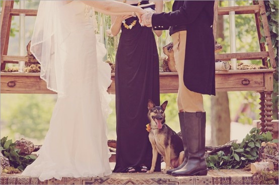 pets-in-wedding.jpg