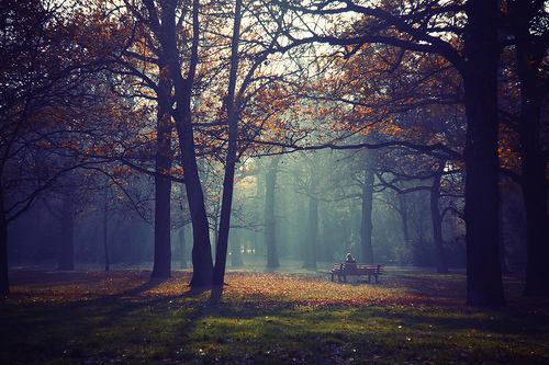 tumblr_static_autumn-beautiful-forest-nature-photography-favim.com-407590.jpg
