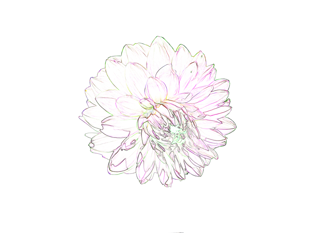 png_flower_3_fract___white_by_ultimalitho-d4gt4uq.png