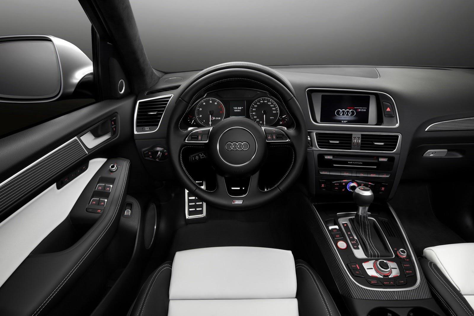 2014-Audi-SQ5-3.0-TFSI-9.jpg