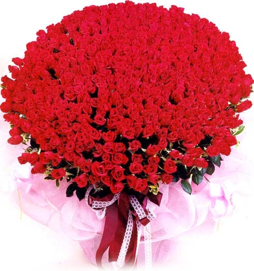 Red+_Rose_Bunch_Valentines_Day.jpg