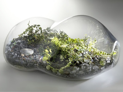 remodelista+terrarium.jpg