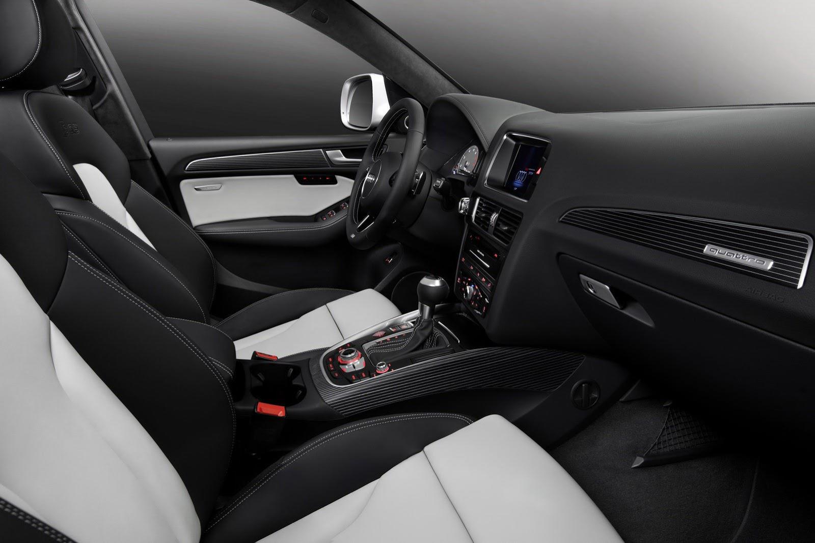 2014-Audi-SQ5-3.0-TFSI-10.jpg