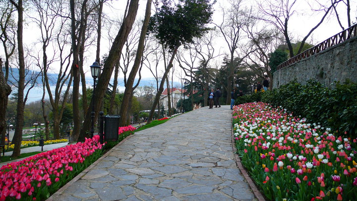 emirgan%2Bkorusu%2B2.jpg